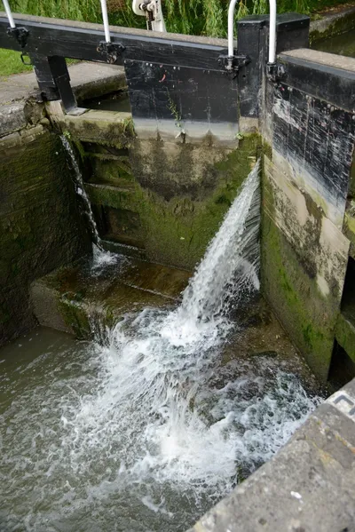 DSC_2707 (Large).JPG